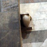 IMG_2983 IMG_2983