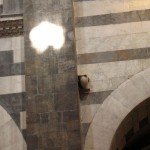 IMG_2984 IMG_2984