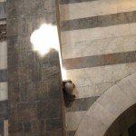 IMG_2997 IMG_2997