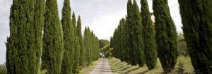 Slow Living Day in Tuscany