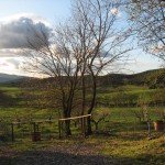 IMG_3076 IMG_3076
