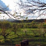 IMG_3083 IMG_3083