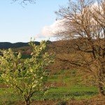 IMG_3084 IMG_3084