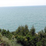IMG_3251
