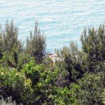 IMG_3252