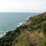 IMG_3253