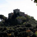 IMG_6373
