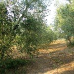 IMG_4044 IMG_4044