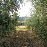 IMG_4046 IMG_4046