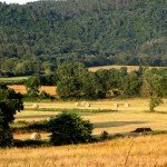 IMG_4064 IMG_4064