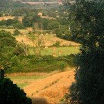 IMG_4069 IMG_4069