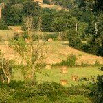 IMG_4070 IMG_4070
