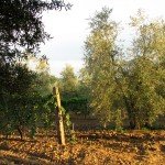 IMG_4072 IMG_4072
