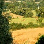 IMG_4076 IMG_4076