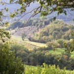 Feeling at home - Guest post by Rebecca Winke