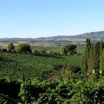 IMG_4302 IMG_4302