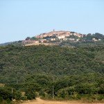 IMG_4306 IMG_4306