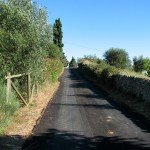 IMG_4307 IMG_4307