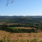IMG_4309 IMG_4309