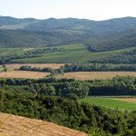 IMG_4310 IMG_4310