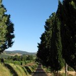 IMG_4311 IMG_4311