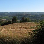 IMG_4314 IMG_4314