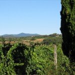 IMG_4323 IMG_4323