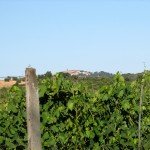 IMG_4324 IMG_4324
