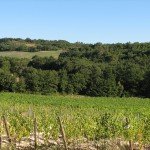 IMG_4329 IMG_4329