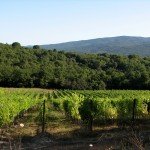 IMG_4330 IMG_4330