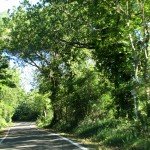 IMG_4331 IMG_4331
