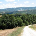 IMG_4339 IMG_4339