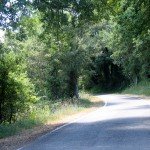 IMG_4341 IMG_4341