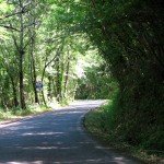 IMG_4342 IMG_4342