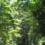 IMG_4343 IMG_4343