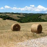 IMG_4346 IMG_4346