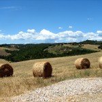 IMG_4347 IMG_4347