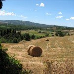 IMG_4349 IMG_4349