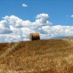 IMG_4357 IMG_4357