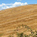 IMG_4359 IMG_4359