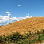 IMG_4360 IMG_4360