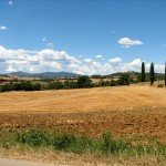 IMG_4361 IMG_4361