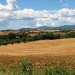 IMG_4362 IMG_4362