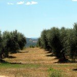 IMG_4364 IMG_4364