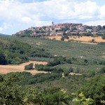 IMG_4366 IMG_4366