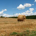 IMG_4368 IMG_4368
