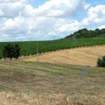 IMG_4371 IMG_4371
