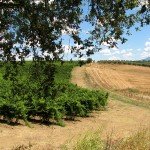 IMG_4373 IMG_4373
