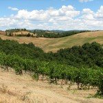 IMG_4376 IMG_4376