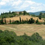IMG_4377 IMG_4377